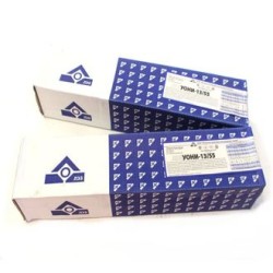 Usine d'électrodes Losinovsky